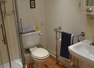 a small bathroom with a toilet and a sink at The Garden Flat in Hunstanton