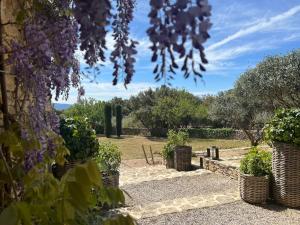 a garden with plants in baskets and trees at Le Mas de Béthel in Gordes