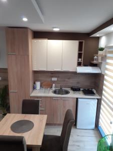 Köök või kööginurk majutusasutuses Apartman Planinski san Divčibare