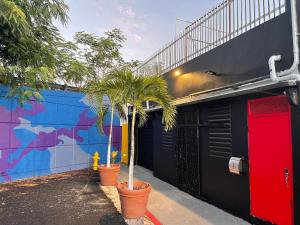 a palm tree in a pot next to a building at 7 bedrooms in San Juan La Placita Santurce By RentalsPR in San Juan