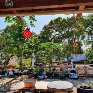 a patio with tables and potted plants and trees at Hostel e Cachaçaria da Cris in Carolina