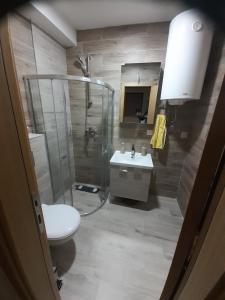 Vannituba majutusasutuses Apartman Planinski san Divčibare