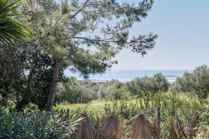 a fence in a field with the ocean in the background at Elafonisi Resort by Kalomirakis Family in Elafonisi