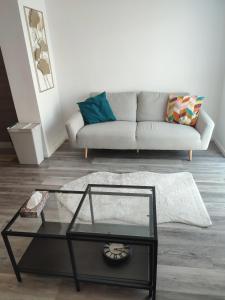 ein Wohnzimmer mit einem Sofa und einem Couchtisch aus Glas in der Unterkunft Joli appartement avec jardin-terrasse privé in Brest