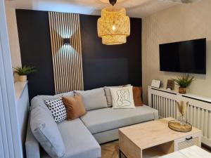 uma sala de estar com um sofá e uma televisão em Modern 1 bed apartment next to beach and golf course em Llanelli