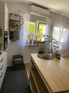 Kuchyň nebo kuchyňský kout v ubytování Apartman Zadar Centar(free parking and wi-fi)