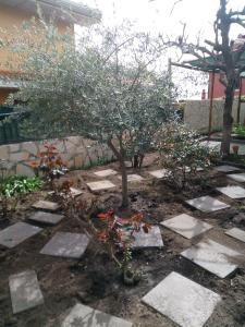 A garden outside L'Agrifoglio Dell'Etna