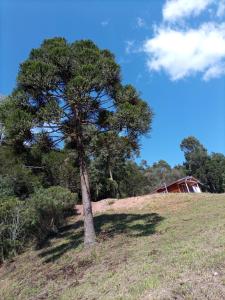 Naturlandskabet i nærheden af feriehuset