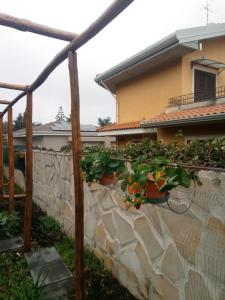 A garden outside L'Agrifoglio Dell'Etna