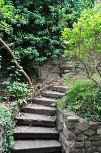 a set of stone stairs in a garden at Art Hotel & Hostel in Passau