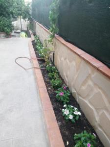 A garden outside L'Agrifoglio Dell'Etna