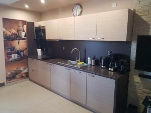 Kuchyňa alebo kuchynka v ubytovaní BUTOROWY RESIDENCE Apartament "GÓRSKA ORCHIDEA"