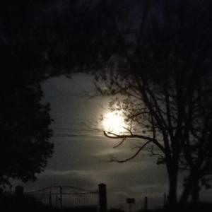 Foto dalla galleria di Relais de la poste rez-de-chaussée a Monclar-de-Quercy