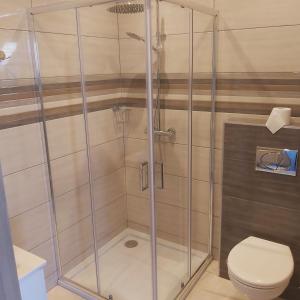 a shower stall in a bathroom with a toilet at Pokoje U lalusia in Muszyna +14 photos