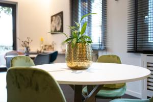 uma mesa com uma planta em cima em My Place Hotel em Rimini