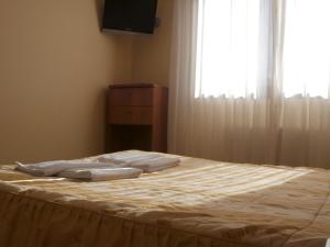 a bed with two pillows on it in a room with a window at Hostal El Volante in Estella