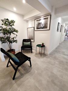 a living room with a chair and a potted plant at Residencial Douro in Peso da Régua
