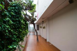 a hallway with a tree in the middle of a building at Hostal Alemania in Es Pujols