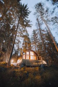a tree house in the middle of a forest at Haltia Lake Lodge nature boutique hotel & glamping in Espoo