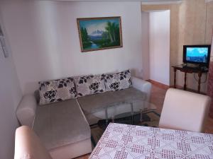 a living room with a couch and a table at Apartmani Sobe Sljivancanin in Žabljak