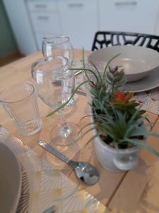 a table with glasses and a potted plant on it at Appartement neuf de 30 m2 au coeur de palavas Classé 2 étoiles in Palavas-les-Flots