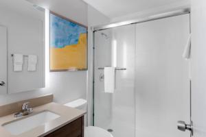 Koupelna v ubytování Comfort Inn Detroit - Troy + 54 fotografií