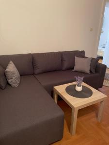 Φωτογραφία από το άλμπουμ του VILA MILETIĆ σε Vrnjačka Banja