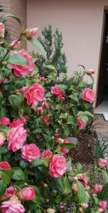 A garden outside Dolce Ricordo, locazione turistica