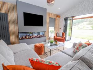 a living room with a couch and a fireplace at Pool View in Meifod