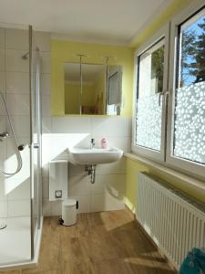 uma casa de banho com um lavatório e um chuveiro em Ferienwohnung Kreuzgasse em Bad Frankenhausen