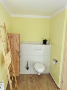 a bathroom with a toilet in a room at Ferienwohnung Kreuzgasse in Bad Frankenhausen