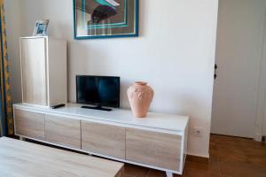 un vase assis sur un meuble avec une télévision sur lui dans l'établissement Menorca Arenal d'en Castell, à Arenal d'en Castell