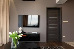 Televízia a/alebo spoločenská miestnosť v ubytovaní Apartamenty DES-Zator