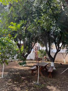 a picnic table and two trees in a park at Two Olive Trees in Spetses