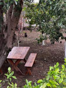 a wooden table and bench next to a tree at Two Olive Trees in Spetses