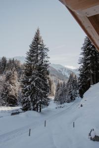 Ferienhaus Bergler Hoamat v zime
