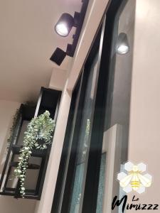 a store window with a potted plant on it at Le Mimizzz in Entraygues-sur-Truyère