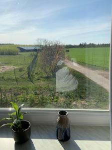 Zahrada ubytování Jægergård