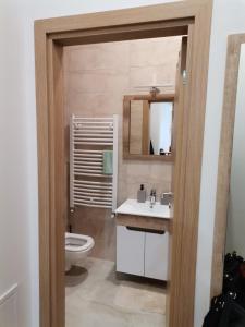 Koupelna v ubytování Apartman Blagojevic Hill