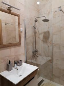 Koupelna v ubytování Apartman Blagojevic Hill + 30 fotografií