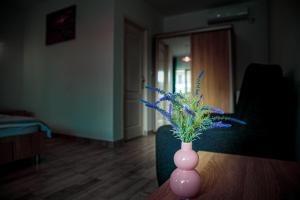 Fotografie z fotogalerie ubytování Casa ERICKA v destinaci Vama Veche