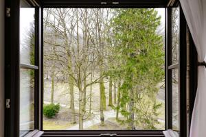 an open window with a view of a tree at Zámek Třešť in Třešť