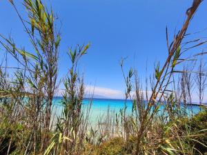 Gallery image of Vanessa Paradise Isola D'Elba in Pila +53 photos