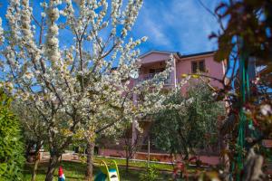 Vonkajšia záhrada v ubytovaní Apartments Lorena