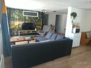a living room with a couch and a tv at Les Guernazelles in Bracieux