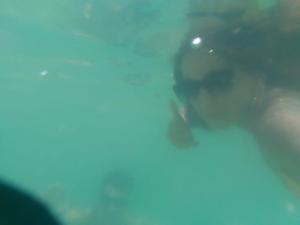 eine Nahaufnahme einer Autowindschutzscheibe mit einer Reflexion in der Unterkunft Casa praias de São Gonçalo em Paraty RJ in Paraty + 41 Fotos