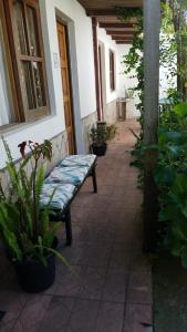 a bench sitting outside of a building with plants at La Casa de Teresa in Colonia del Sacramento