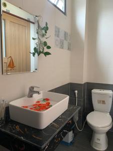 a bathroom with a sink and a toilet at The Sun Homestay in Hoi An