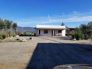 a small white house with two dogs in front of it at Cabañas Los Laureles ruta del vino in Ensenada