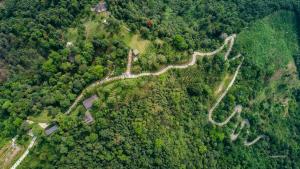 an aerial view of a winding road in the forest at P'apiu Resort in Ha Giang